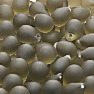 10ks České skleněné mačkané korálky kapky 10x14mm kouřová šedá mat
