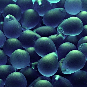 10ks České skleněné mačkané korálky kapky 10x14mm tmavá akva mat